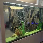 Primavera Atlantis Burgas