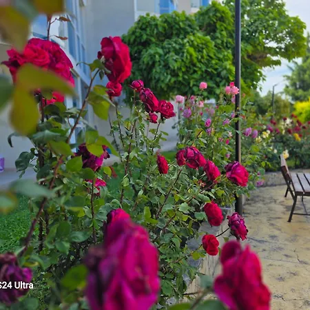 Appartement Primavera Atlantis *