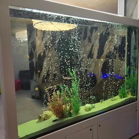 Primavera Atlantis 부르가스