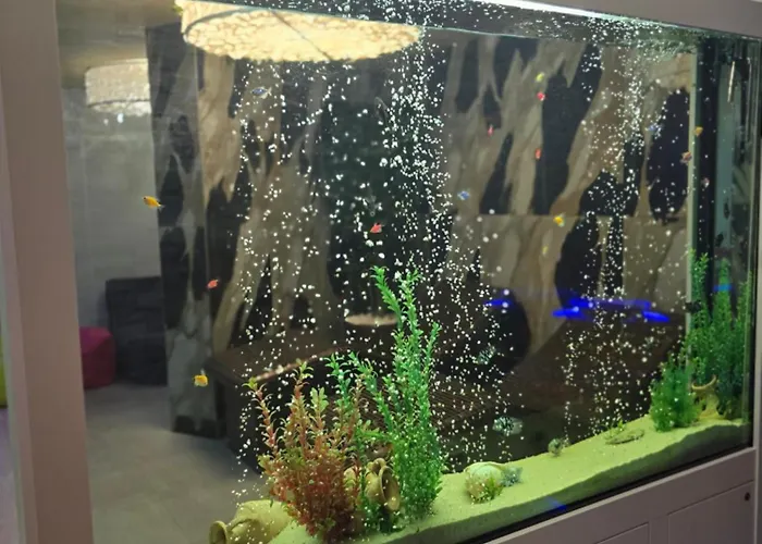 Primavera Atlantis Burgas